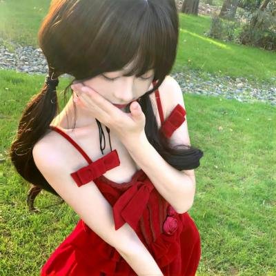高卢勇士之十二个任务